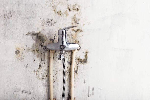 Best Mold Cleaning Services  in Fort Totten, ND