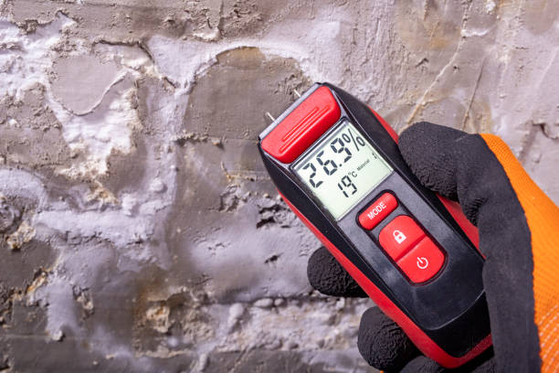 Best Mold Removal Specialists  in Fort Totten, ND