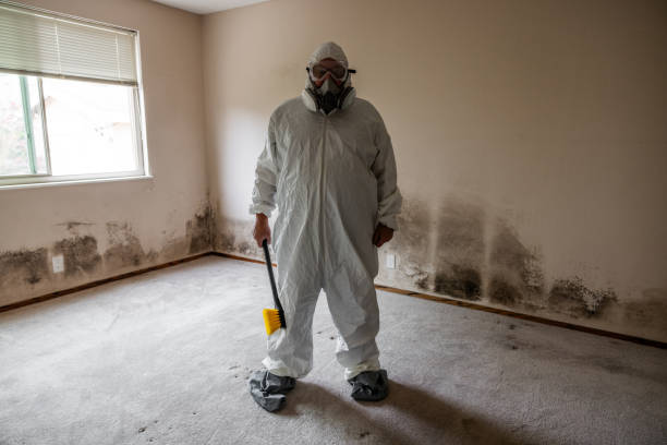 Best Office Mold Removal Services  in Fort Totten, ND